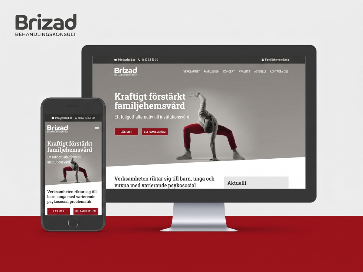 Brizad Behandlingskonsult AB projekt